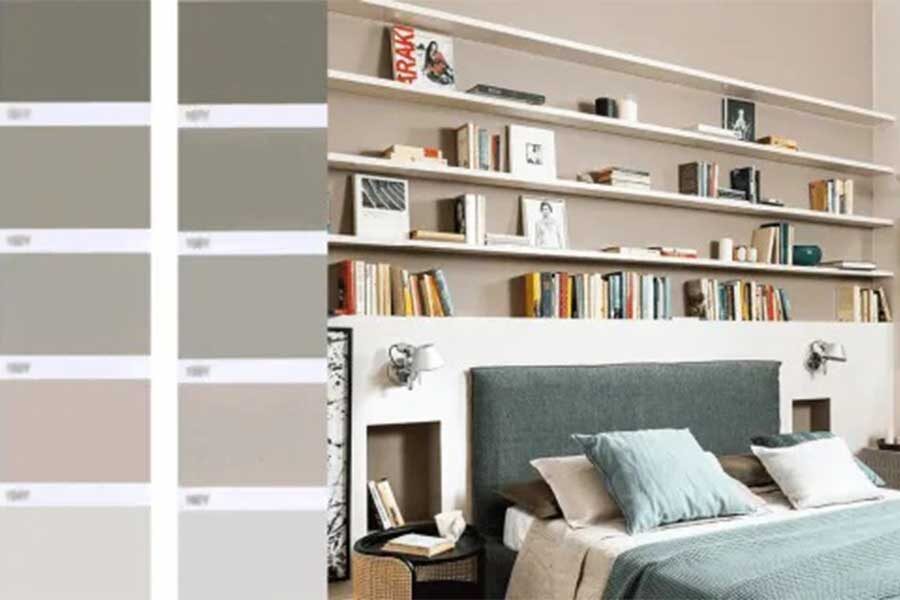 Color tortora per la casa: abbinamenti per valorizzarlo e idee arredamento